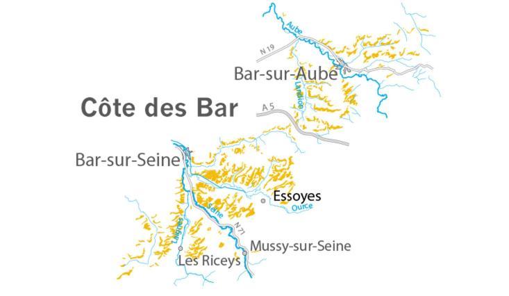 Hotel Les Demoiselles Essoyes Kültér fotó