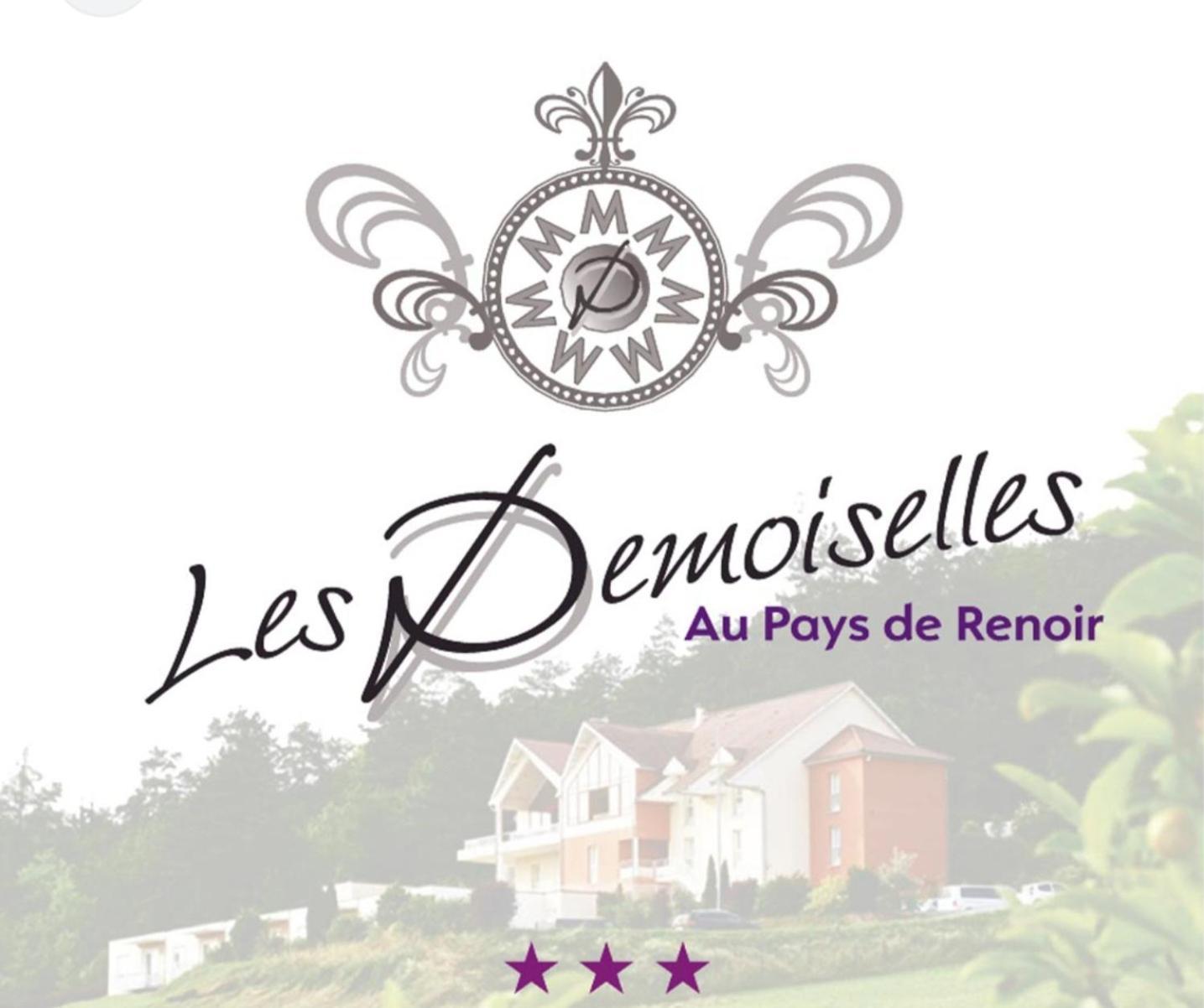 Hotel Les Demoiselles Essoyes Kültér fotó